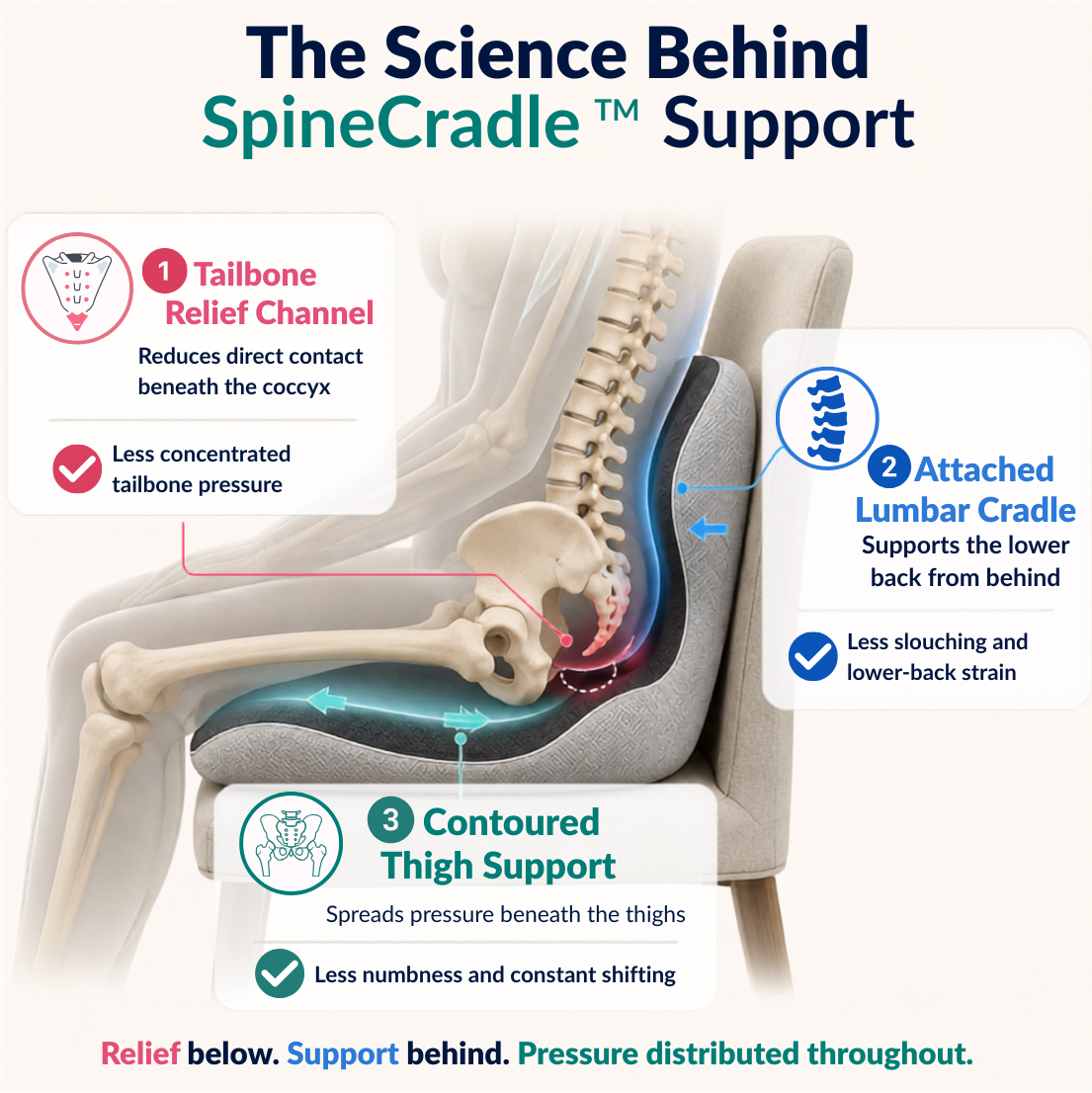 SpineCradle | 3-in-1 Driver's Posture Support System for Rideshare Drivers